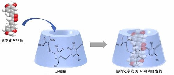 羥丙基 倍他環(huán)糊精 淄博千匯